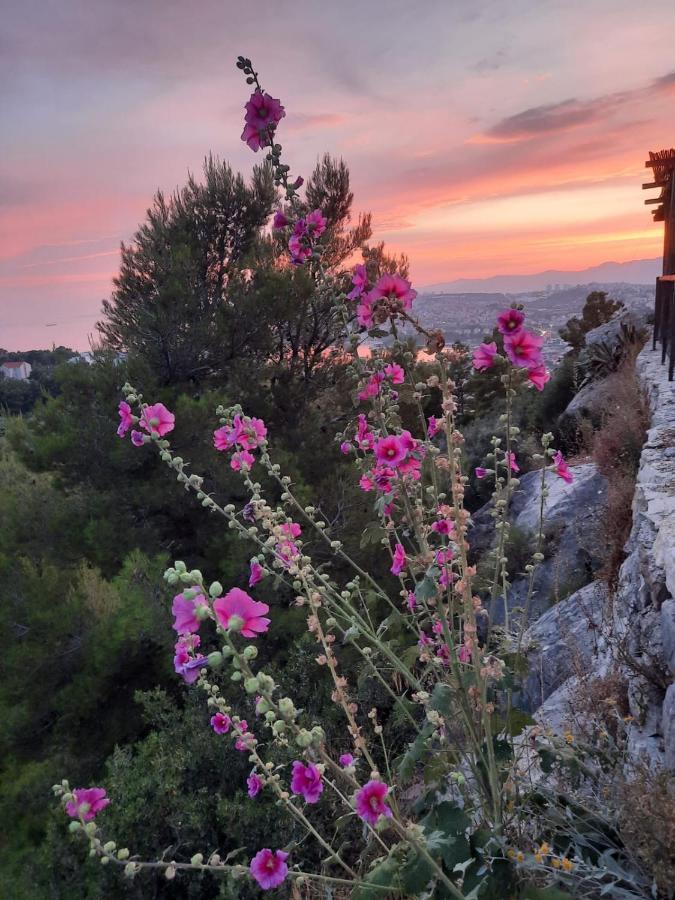 Apartmani Dario Podstrana Bagian luar foto